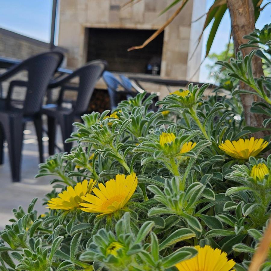 Villa Silver Starigrad Paklenica Exterior foto
