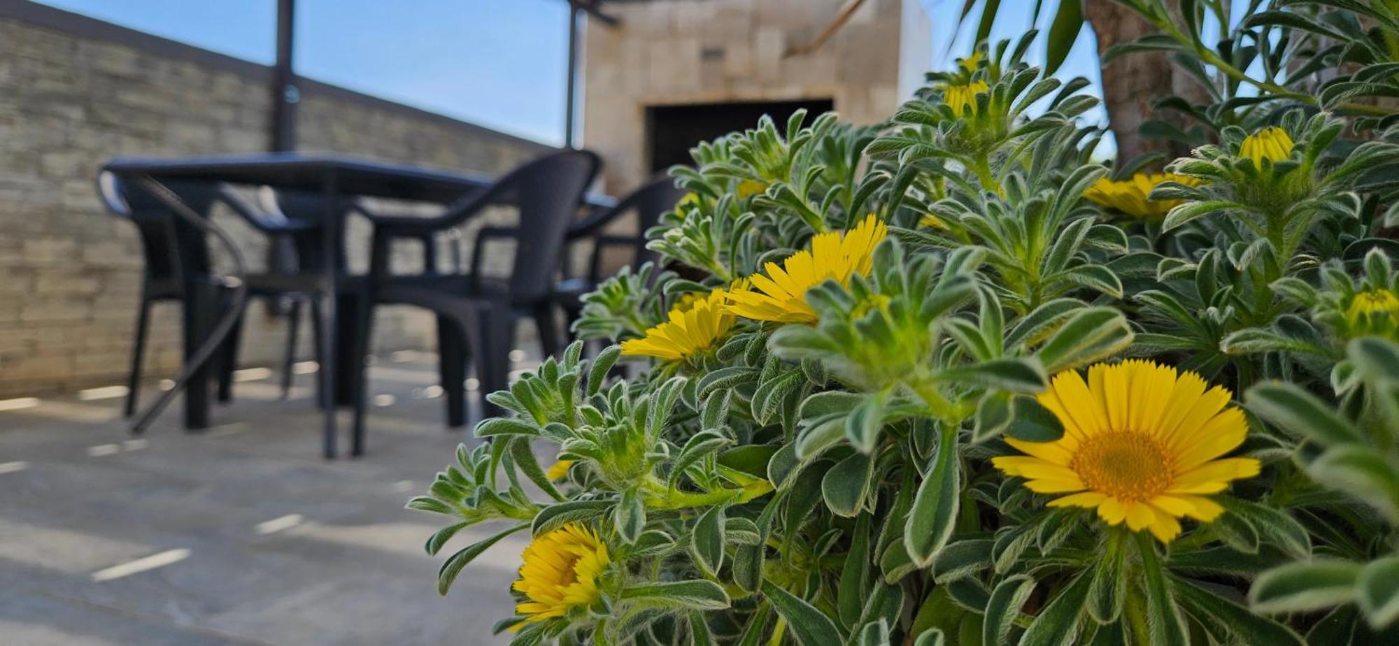 Villa Silver Starigrad Paklenica Quarto foto